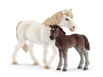 SHL42423 - Ponette et Poulain