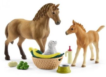 SHL42432 - Les soins pour bébé animaux d'Horse Club Sarah