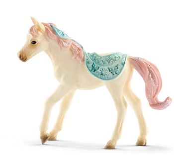 SHL70549 - Poulain-Papillon de Femaja