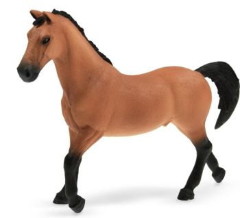 SHL72136 - Étalon Trakehner