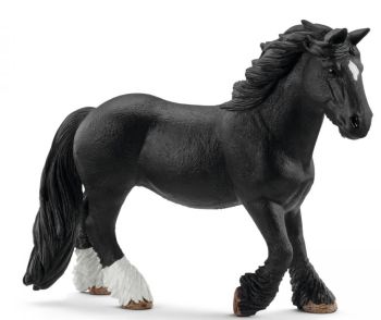 SHL72137 - Jument Tinker