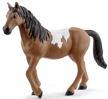 SHL72138 - Jument Pinto