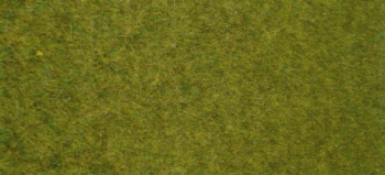 HEK1861 - Tapis d'herbes sauvages terrain boisé 45x17 cm