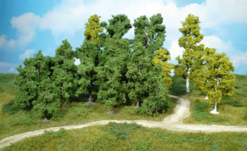 HEK1950 - Lot de 10 arbres Fruitiers 8-12 cm