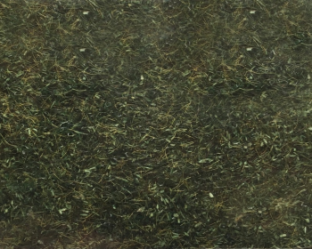 NOC08350 - Herbe de forêt - 2.5 mm -20 g