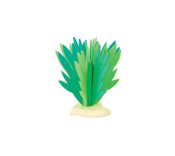 BUL81088 - Arbuste - 14 cm