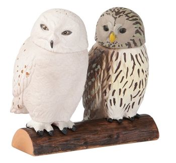 T16069 - Hibou et Chouette