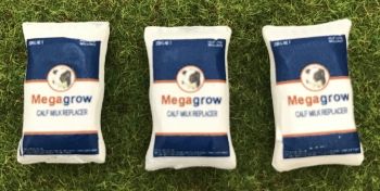 WM033P - 3 sacs de pour de lait pour veaux - En miniature