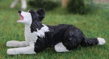 WMA12 - Border collie en position allongée - En Miniature