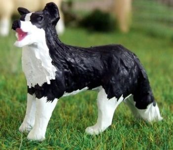 WMA16 - Border collie en position d'attente - En Miniature