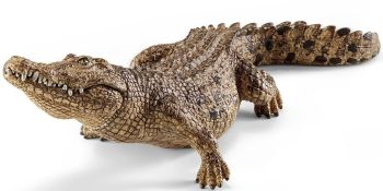 SHL14736 - Crocodile